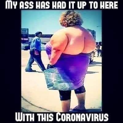 corona virus memes