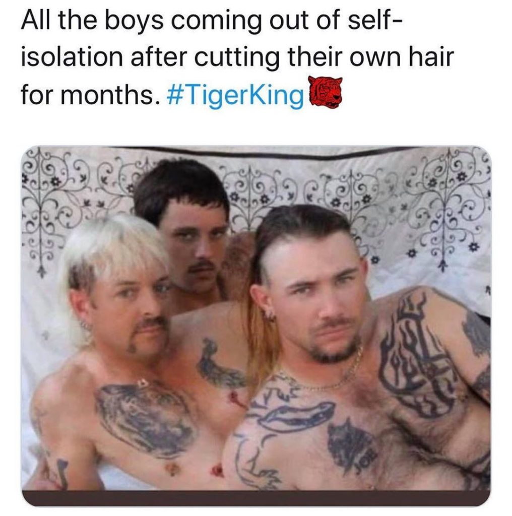 Tiger King memes